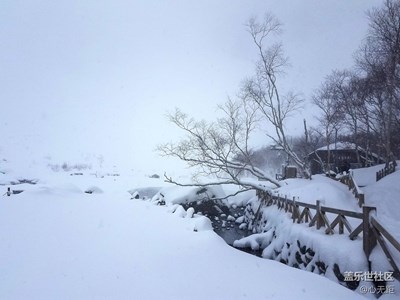 我愛你長白山的雪