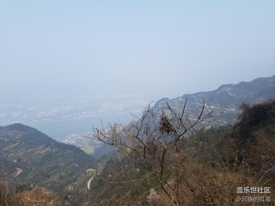 隨拍