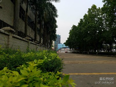 路