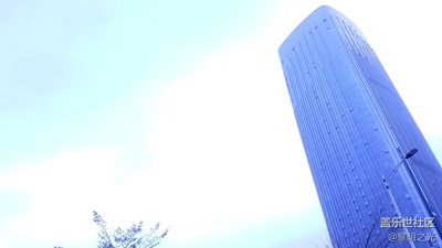 網(wǎng)友們，看看哪張照片更討喜？