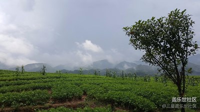風(fēng)云+陂頭+隨拍