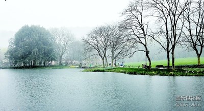 雨中太子灣