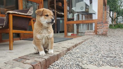 縉云山