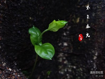 春分時(shí)節(jié)，不負(fù)春光