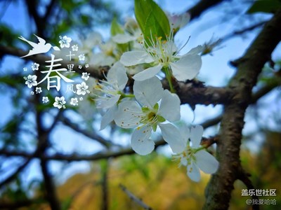 十里春風
