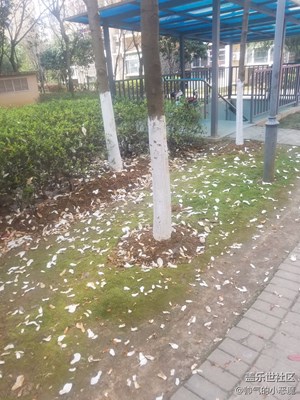 落花有意，人無情