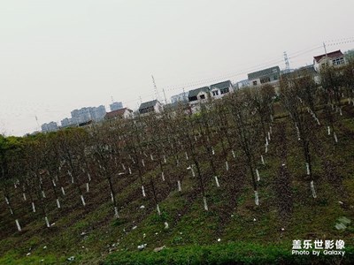 天陰沉沉的，還是好冷啊。。