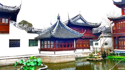 印象上?！勤驈R