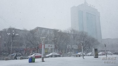 三月雪