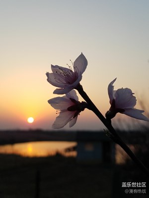 夕陽(yáng)下的傍晚