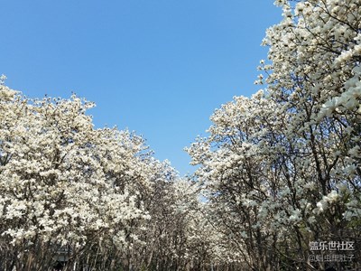 隨拍吧
