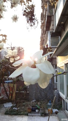 春天來了