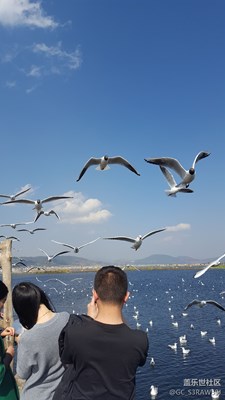 三星S6也可以拍的這么美