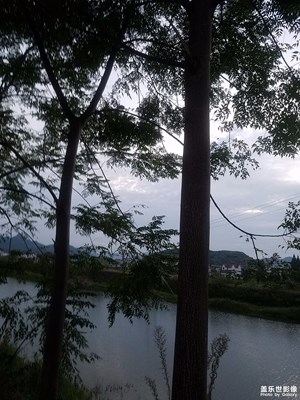 風(fēng)景就是那么美