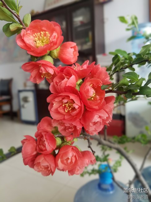 升級(jí)7.0后，電池不如原來耐用了