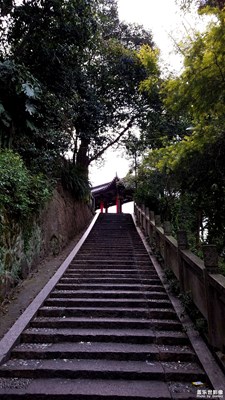 路+溫州+路在腳下