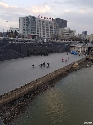牛