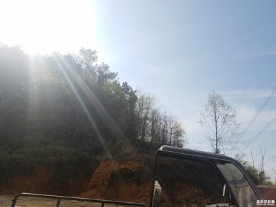 風(fēng)景