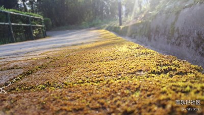 清晨