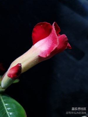 變化