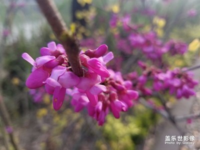 春暖花開(kāi)
