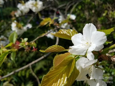 春暖花開(kāi)
