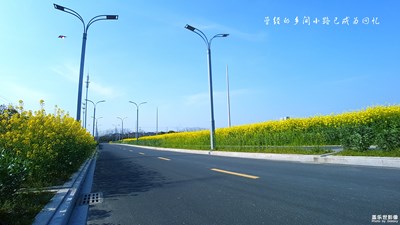 路+太倉+我心中的路