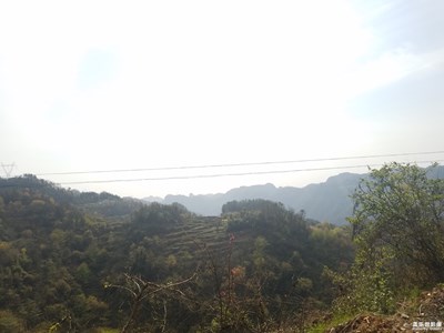自然之美