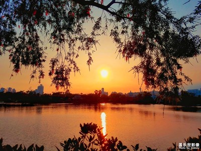 公園日落
