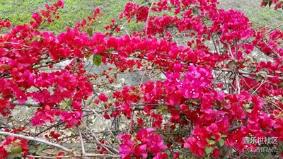 風(fēng)景秀麗隨時拍