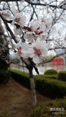 時(shí)節(jié)·雨·紛紛…………