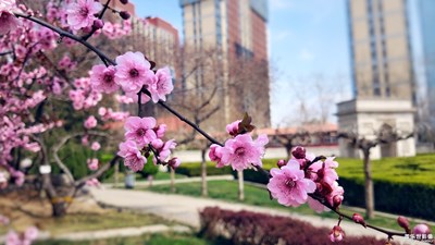好久沒(méi)發(fā)照片-第二彈-石家莊石門(mén)公園