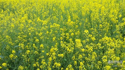 房屋旁邊