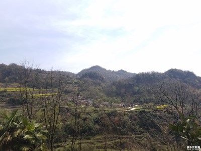 陽光普照