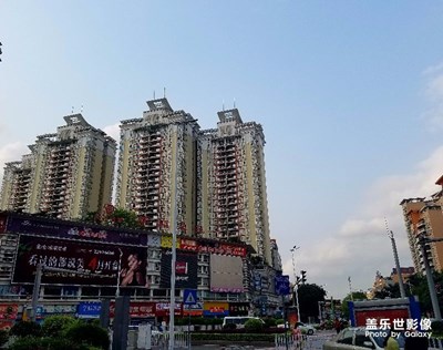 嶺南隨騎