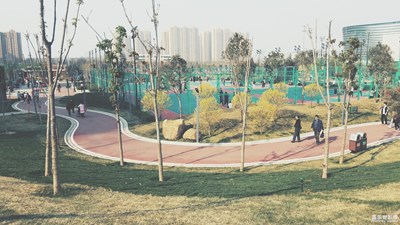 好久沒(méi)發(fā)照片-第三彈-石家莊體育公園