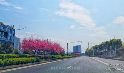 春天的氣息