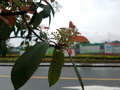 雨滴