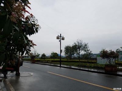 雨一直下