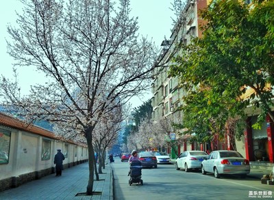 我眼中的世界+綿陽市+生活之路