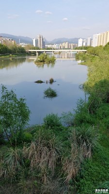 隨拍