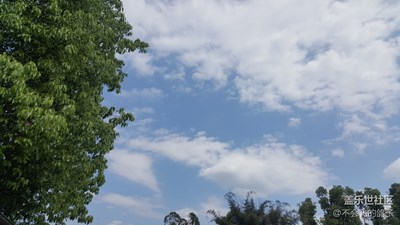 今天天氣真好，希望明天也是如此！