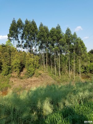 釣小龍蝦不是重點，享受好天氣