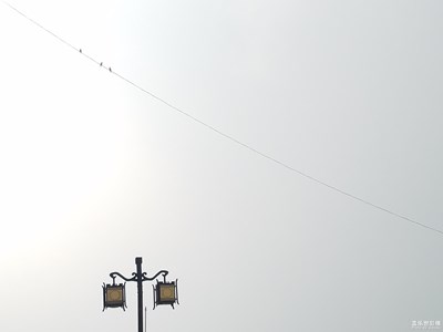 小鳥也知道，風(fēng)雨即將來臨