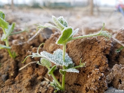 去年12月上班路上幾張隨拍