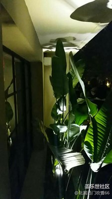 夜色