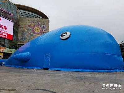 一條大魚（快到盤子里來）