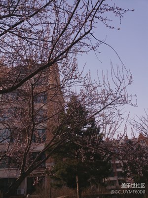 桃花一簇開無主，可愛深紅愛淺紅?