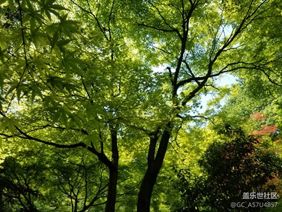 周末帶小朋友出去玩，隨手拍幾張！
