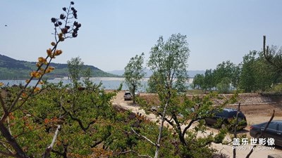郊游